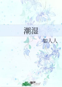 完美搭档免费观看完整版