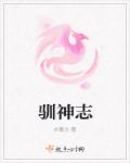 日本特级淫片