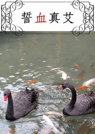 神棍下山记小说