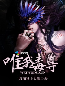 流星蝴蝶剑枪大招