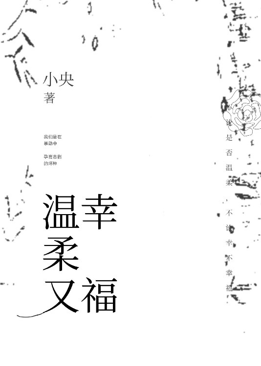 冷王盗妃侧妃不承欢全文免费阅读小说
