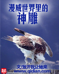 哔哩哔哩下载