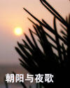 归去来电视剧