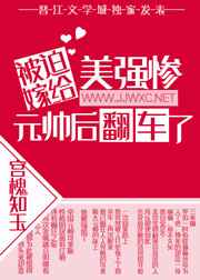 家教的高级诱惑