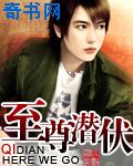 美女综合网