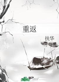 碧血青天杨家将