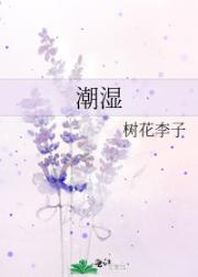 by28777域名查询