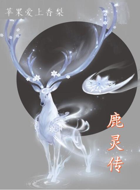 无限穿越之后宫未删节