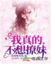 186tv在线观看
