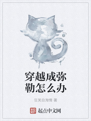 武状元苏乞儿完整版
