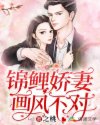 少年与省长夫人的乱情