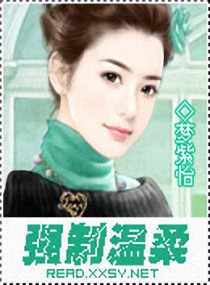 蜜饯1v.1h