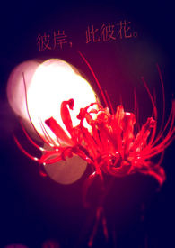 一不小心成了室友们的团宠百度云