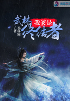 夜蝶v1.0.87