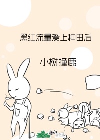 棋魂国语