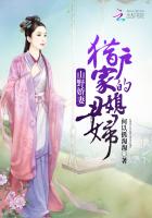贼王之王国语完整免费观看
