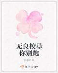 800免费资源网