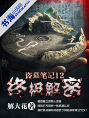 超级盗贼