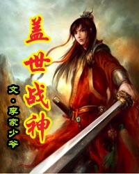 武力裁决所