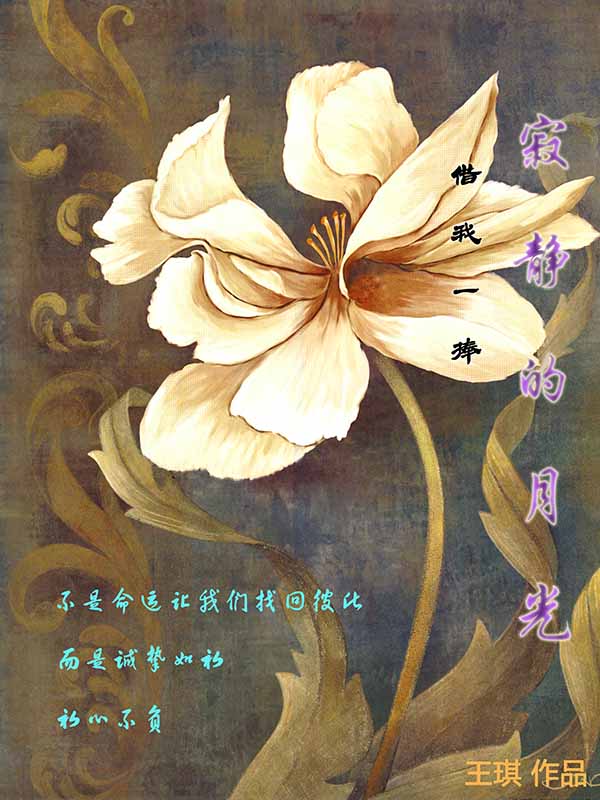 韩国演艺圈视频109部