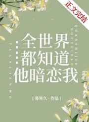 完美婚礼