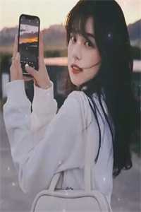 平天策小说