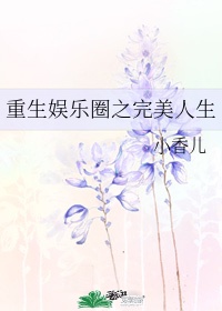 美人心计卫子夫