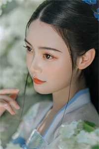 虎式坦克图片
