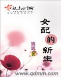 哥布林与魔法师赛菲篇