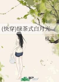 明月何时照我还