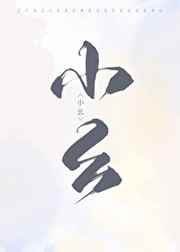 红鼎国际b座300全套在哪里
