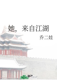 神枪传奇