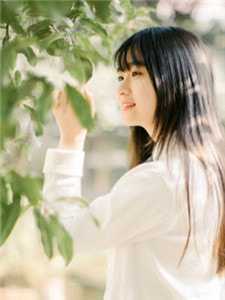 继女江暖暖的花园