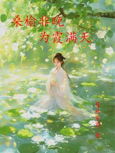 使命林荫全集25集