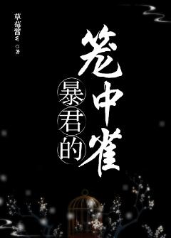 免费拍拍拍直播平台