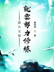 麻花视频V322纯净版