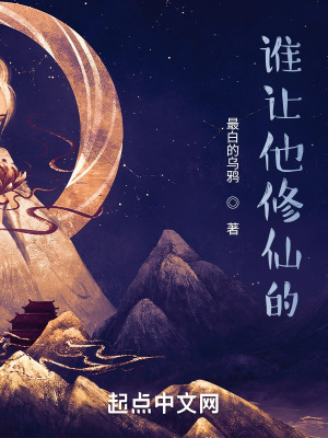 vanight播放器