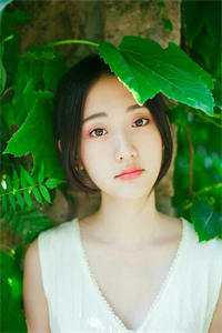 希多尔米