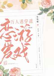 韩国理论2828