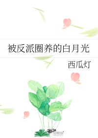进了老师的扇贝