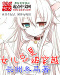 无证之罪电视剧