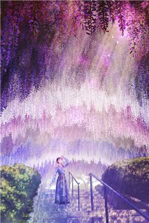 鹡鸰女神