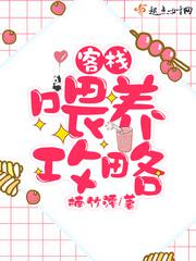 丁大命分集剧情介绍