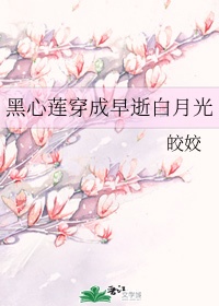 茄子丝瓜草莓榴莲石榴