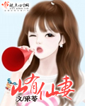 二次元下午茶最新网址