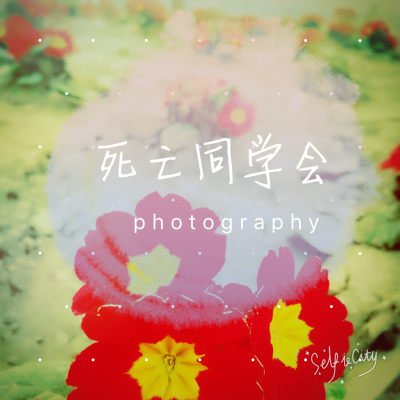 都市之至尊战神宁轩辕