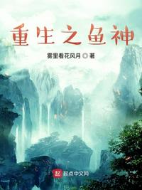 岛国网