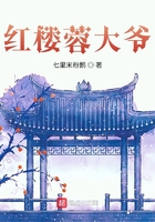 可可西里的美丽传说百度云