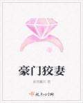 花落官途txt全集下载