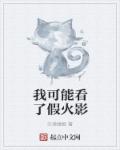 china中国bingo视频